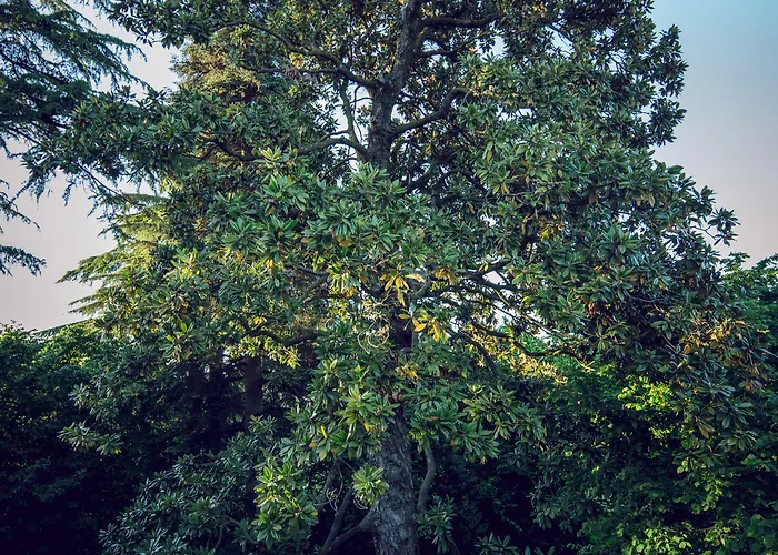 לינה וארוחת בוקר Corte Finzi 4*